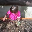 day one garden