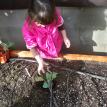 day one garden