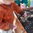 day one garden