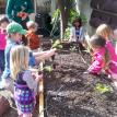day one garden
